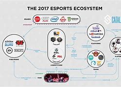 Image result for eSports Ecosystem
