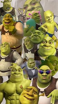 Image result for Funny Swhrek