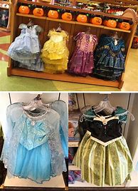 Image result for Disney Theme Park Princess Dress
