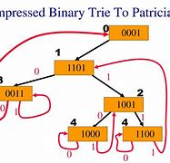 Image result for Binary Trie