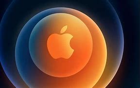 Image result for Nuevo iPhone 12 Pm Colors
