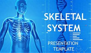 Image result for Atlas 3D Anatomy Theme