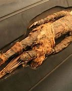Image result for 9000 Year Old Mummy