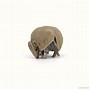 Image result for Andy the Armadillo Cartoon
