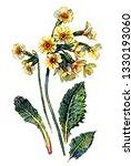 Image result for Botanical Watercolor Painting Tutorials