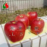 Image result for Huaniu Apple Product