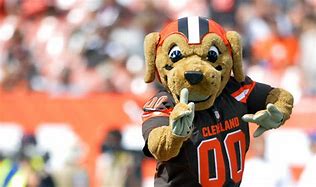Image result for Chomps the Dog Cleveland Browns