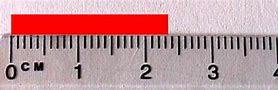 Image result for Millimeter and Centimeter Ruler