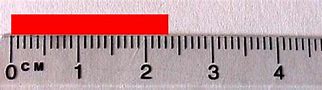 Image result for 2.8 Inches On Ruler