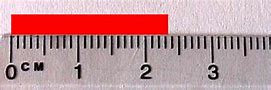 Image result for 1 mm On Ruler