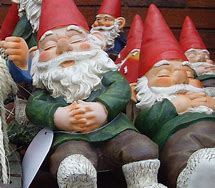 Image result for Funny Gnome Memes