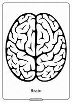 Image result for Brain Outline
