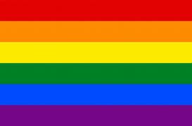 Image result for LGBT Pride Flag