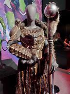 Image result for Black Panther Costume Group