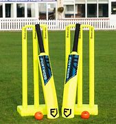 Image result for Back Yard Cricket Set