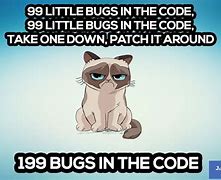Image result for Code Bug Meme