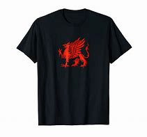 Image result for Griffin Shirt