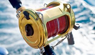 Image result for Best Fishing Rod in the World