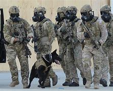 Image result for Australian Army Special Operations Command