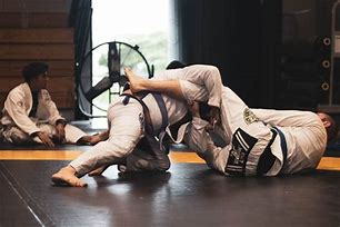 Image result for Martial Arts Techniques School