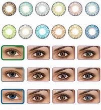 Image result for Opaque Color Contact Lenses for Dark Eyes
