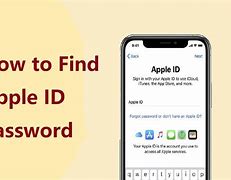 Image result for Where to Find Apple ID