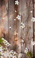 Image result for Cute Wood Wallpaper