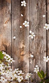 Image result for Rustic iPhone Wallpaper