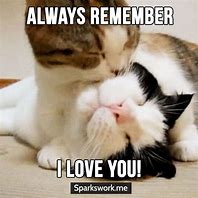 Image result for Love You Cat Meme