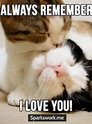 Image result for Cute You Love Me Meme