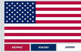 Image result for American Flag Colors Foot Wear