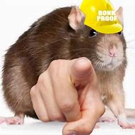 Image result for Rat Hold Meme