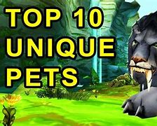 Image result for Best Looking Pets WoW