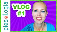 vlog w domu vlog 1 drugi psiak w domu vlog w domu vlog 1 drugi psiak w domu