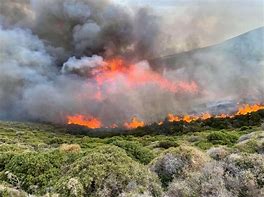 Image result for Andros Fires