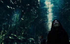 Image result for Snowpiercer Aquarium Film