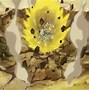 Image result for Dragon Ball Super Ep. 1