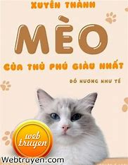 Image result for Meme Mèo Giận Dữ