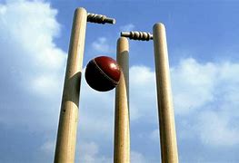 Image result for Cricket Wickets and Stumps