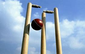 Image result for Wickets Hitting