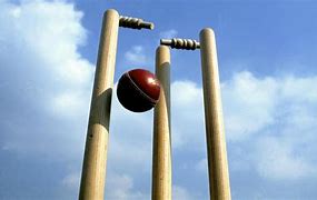 Image result for Cricket Stumps Out