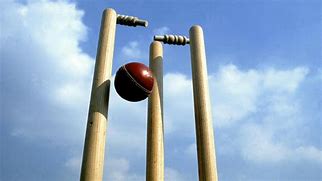 Image result for Pic of a Cricket Wicket