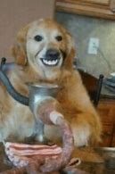Image result for Dog Smiling Meme Cursed