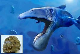 Image result for Weird Prehistoric Fish