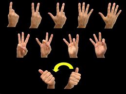Image result for Sign Language Number 0