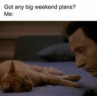 Image result for Weekend Plans Meme