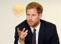 Image result for Prince Harry and Royal Experts
