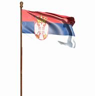 Image result for Girl Waving Serbian Flag