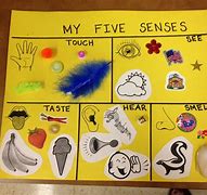 Image result for 5 Senses Coloring Pages