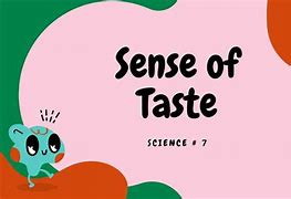 Image result for 5 Senses Taste Test